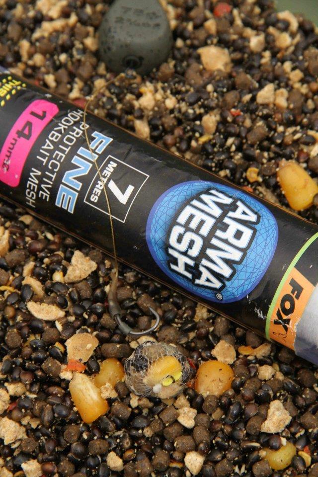 FOX - 538137337005046357083236833574n.jpg